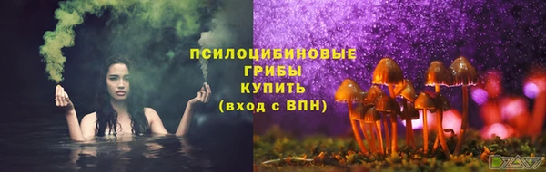 марки lsd Ельня
