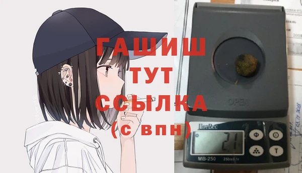 индика Дмитровск