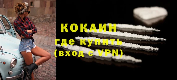 крисы Дмитров