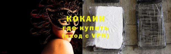 индика Дмитровск