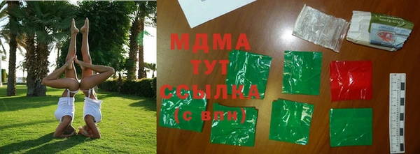индика Дмитровск
