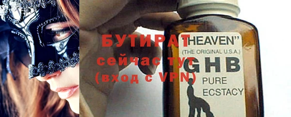 индика Дмитровск