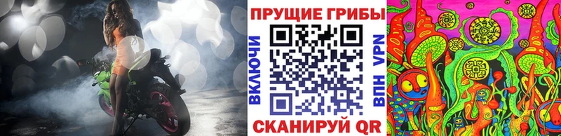 Галлюциногенные грибы Cubensis  Каменногорск 